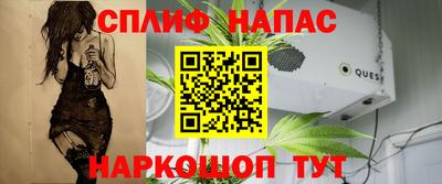 СК Конаково