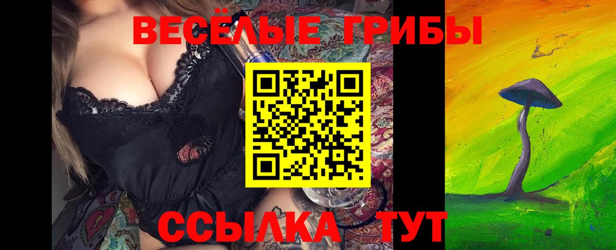 Галлюциногенные грибы Psilocybe  Галлюциногенные грибы MAGIC MUSHROOMS  Кохма  Вход с VPN 